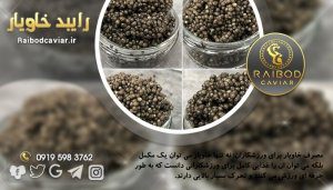 قیمت ۱۰۰ گرم خاویار ایرانی